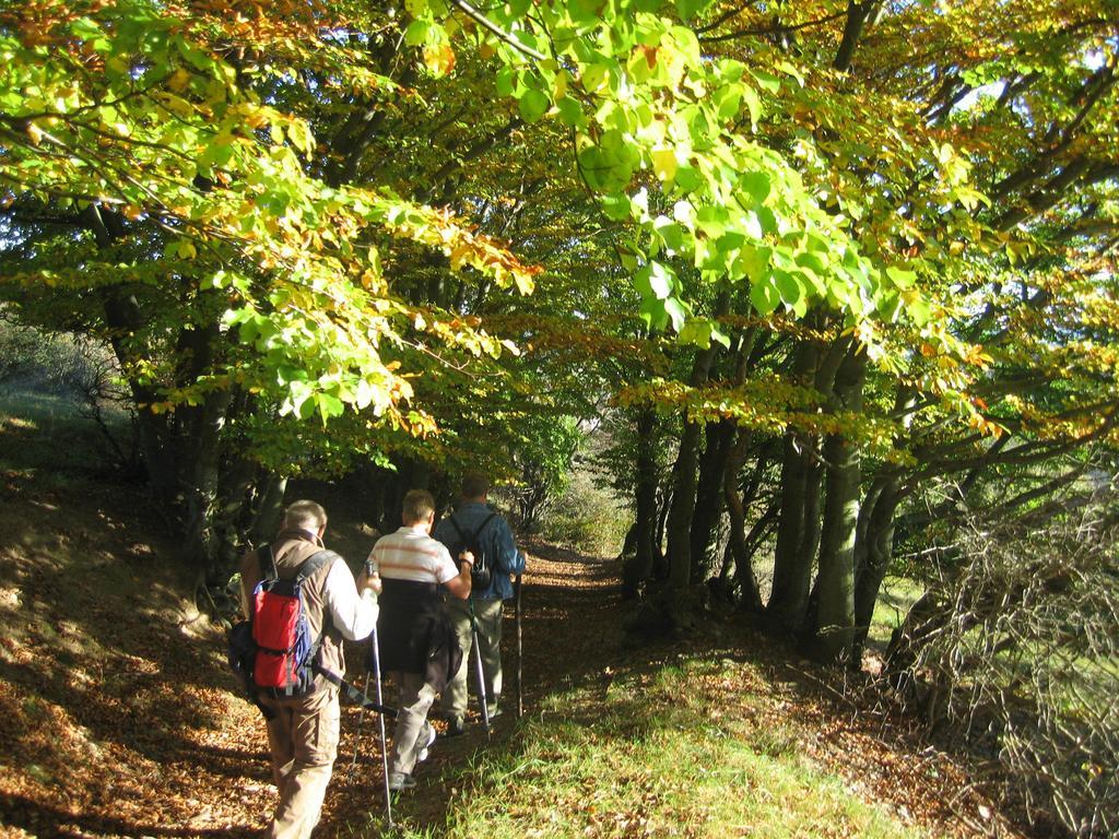Ferienwohnung Panorama Rauenstein Exteriör bild