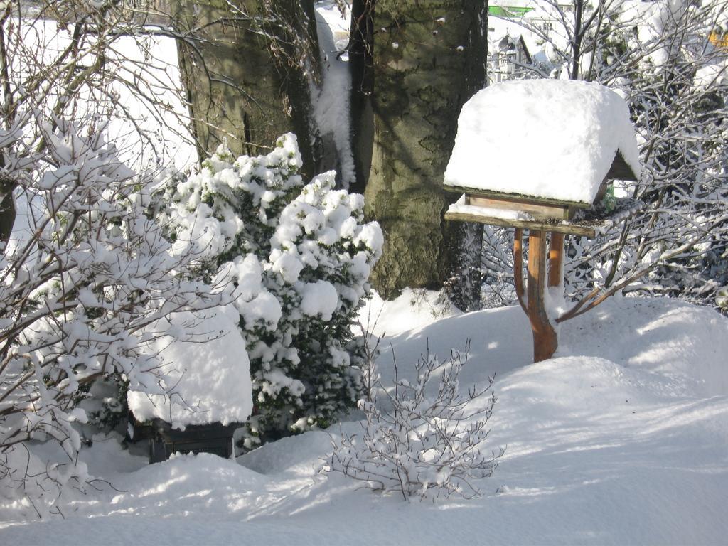 Ferienwohnung Panorama Rauenstein Exteriör bild