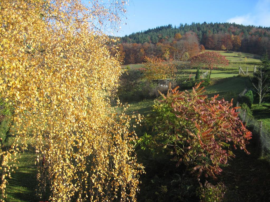 Ferienwohnung Panorama Rauenstein Exteriör bild