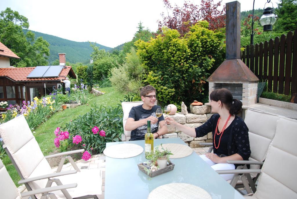 Ferienwohnung Panorama Rauenstein Exteriör bild